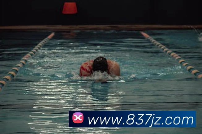 九州娱乐官网平台平台生态图