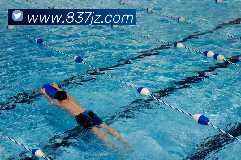 九州娱乐官网平台APP 封面图