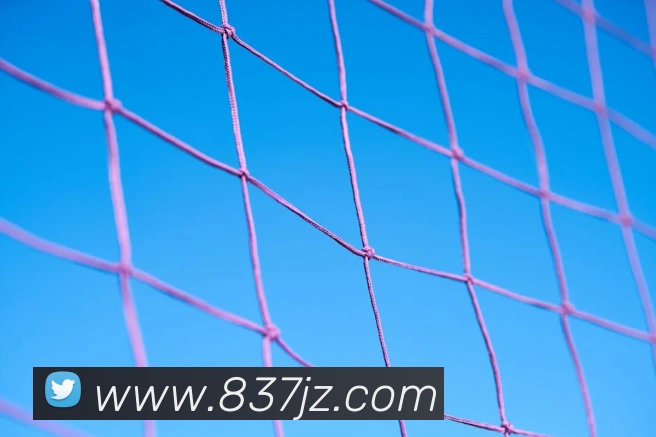 数据防护可视化